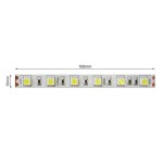 Tira LED Flexible 24V 14,4W/mt 60 Led/mt SMD 5050 IP20 8000K, Serie Profesional, venta por metros Tira LED Flexible 24V 14,4W/mt 60 Led/mt SMD 5050 IP20 8000K, Serie Profesional, venta por metros